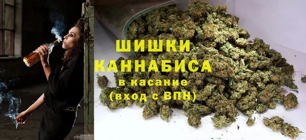 дурь Бронницы