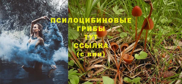 MDMA Богородск