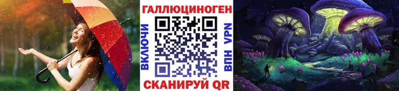Псилоцибиновые грибы Psilocybe купить цена Облучье